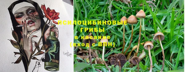 синтетический гашиш Медвежьегорск