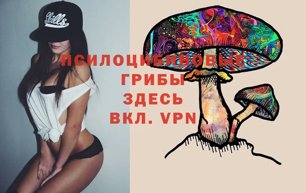 а пвп мука Мегион