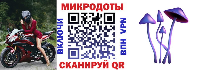 MEGA хочу наркоту Нарьян-Мар Псилоцибиновые грибы Psilocybe